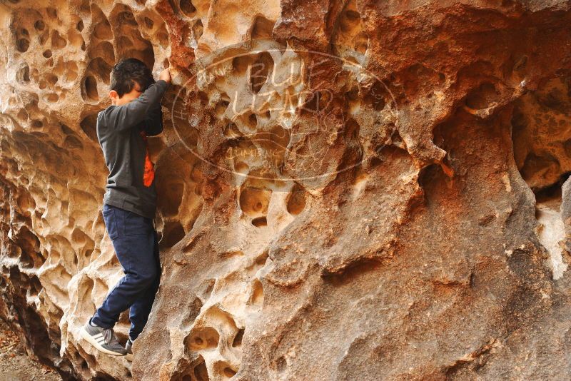 

Filename: SRM_20180314_1041270.jpg
Aperture: f/4.0
Shutter Speed: 1/160
Body: Canon EOS-1D Mark II
Lens: Canon EF 50mm f/1.8 II