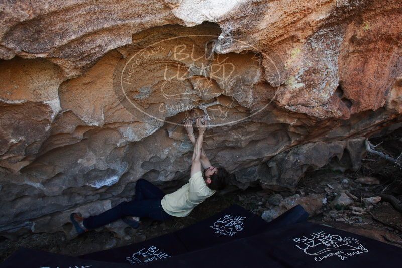 

Filename: SRM_20180314_1346140.jpg
Aperture: f/5.6
Shutter Speed: 1/160
Body: Canon EOS-1D Mark II
Lens: Canon EF 16-35mm f/2.8 L