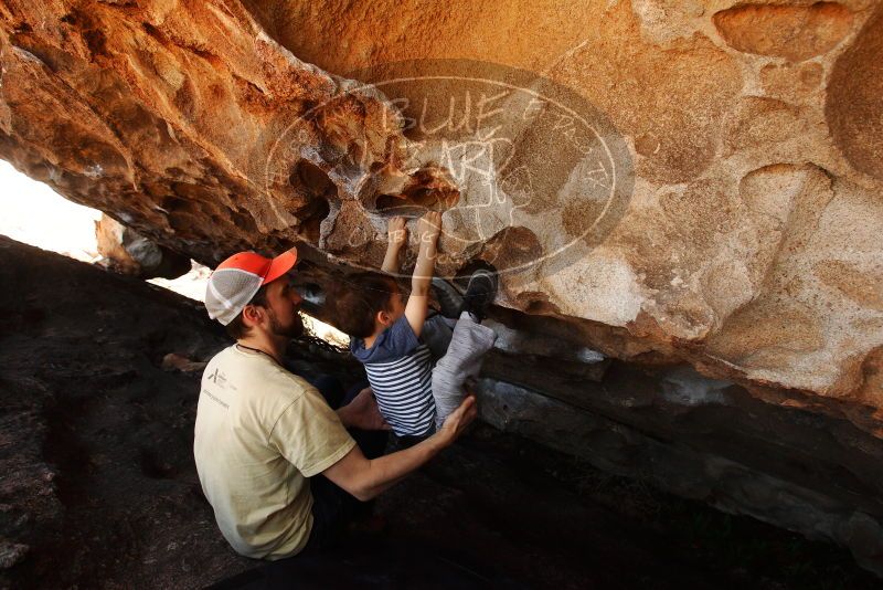 

Filename: SRM_20180314_1410080.jpg
Aperture: f/5.6
Shutter Speed: 1/500
Body: Canon EOS-1D Mark II
Lens: Canon EF 16-35mm f/2.8 L