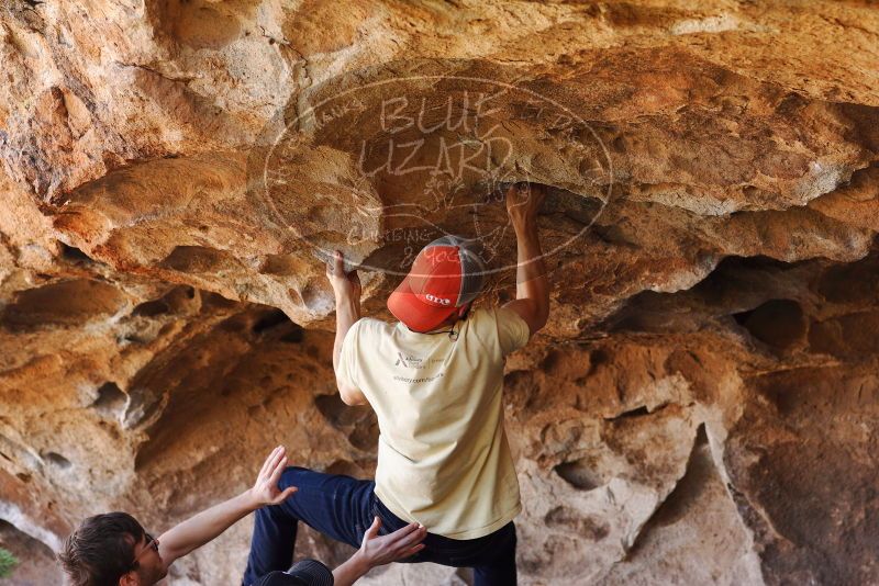 

Filename: SRM_20180314_1425260.jpg
Aperture: f/4.0
Shutter Speed: 1/500
Body: Canon EOS-1D Mark II
Lens: Canon EF 85mm f/1.2 L II