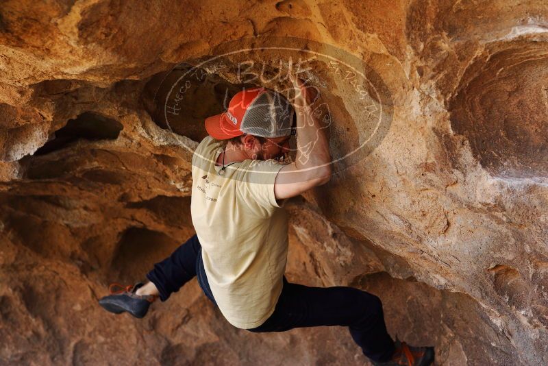 

Filename: SRM_20180314_1426010.jpg
Aperture: f/4.0
Shutter Speed: 1/640
Body: Canon EOS-1D Mark II
Lens: Canon EF 85mm f/1.2 L II