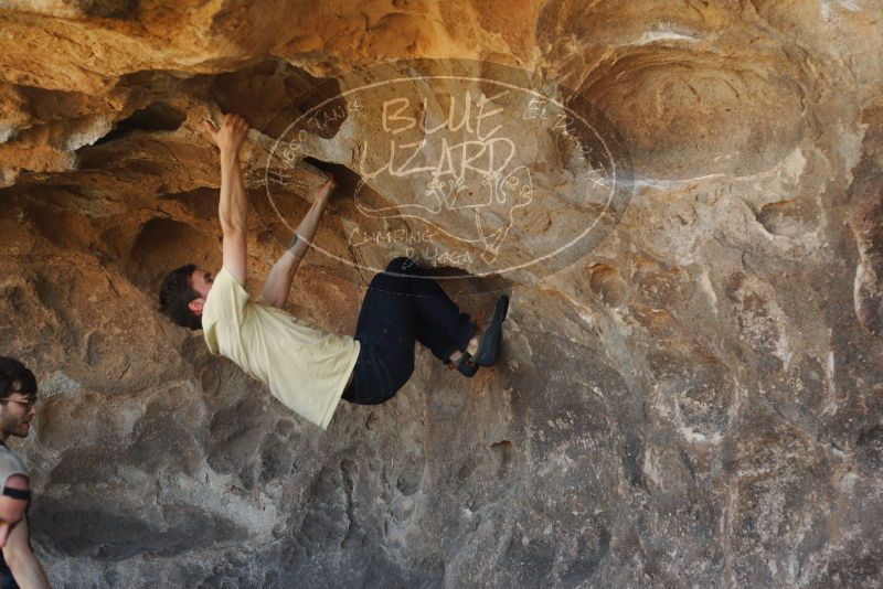 

Filename: SRM_20180314_1449480.jpg
Aperture: f/4.0
Shutter Speed: 1/500
Body: Canon EOS-1D Mark II
Lens: Canon EF 50mm f/1.8 II