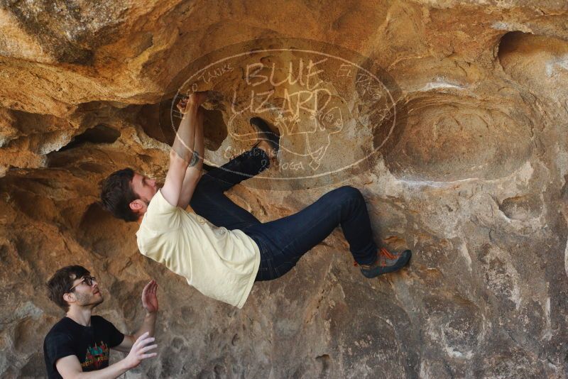 

Filename: SRM_20180314_1450020.jpg
Aperture: f/4.0
Shutter Speed: 1/500
Body: Canon EOS-1D Mark II
Lens: Canon EF 50mm f/1.8 II