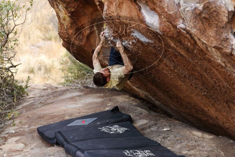 

Filename: SRM_20180314_1703490.jpg
Aperture: f/4.0
Shutter Speed: 1/200
Body: Canon EOS-1D Mark II
Lens: Canon EF 85mm f/1.2 L II