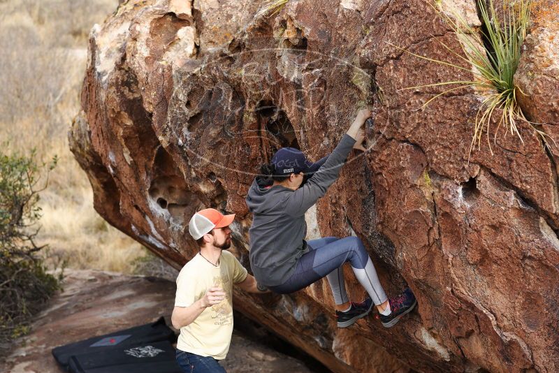 

Filename: SRM_20180314_1704400.jpg
Aperture: f/4.0
Shutter Speed: 1/320
Body: Canon EOS-1D Mark II
Lens: Canon EF 85mm f/1.2 L II