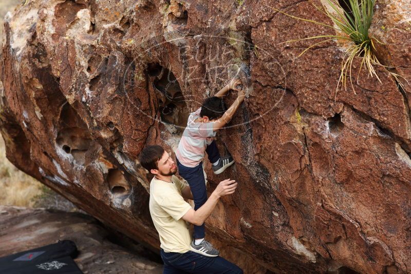 

Filename: SRM_20180314_1717040.jpg
Aperture: f/4.0
Shutter Speed: 1/800
Body: Canon EOS-1D Mark II
Lens: Canon EF 85mm f/1.2 L II