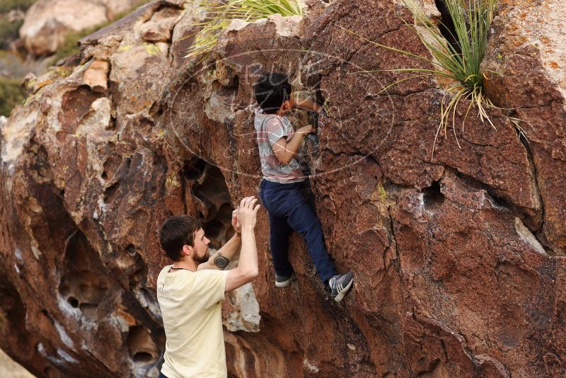 

Filename: SRM_20180314_1717140.jpg
Aperture: f/4.0
Shutter Speed: 1/800
Body: Canon EOS-1D Mark II
Lens: Canon EF 85mm f/1.2 L II