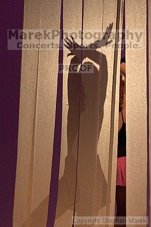 Alpha Gamma Delta placed 3rd in the Mock Rock competition at the Ferst Center.

Filename: crw_1617_std.jpg
Aperture: f/5.6
Shutter Speed: 1/160
Body: Canon EOS DIGITAL REBEL
Lens: Canon EF 80-200mm f/2.8 L