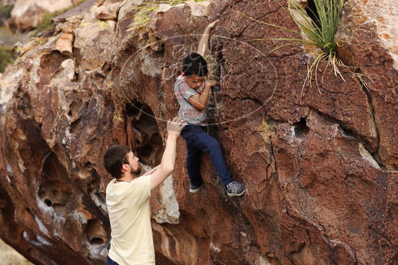 

Filename: SRM_20180314_1717240.jpg
Aperture: f/4.0
Shutter Speed: 1/800
Body: Canon EOS-1D Mark II
Lens: Canon EF 85mm f/1.2 L II