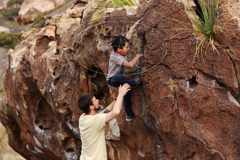 

Filename: SRM_20180314_1717280.jpg
Aperture: f/4.0
Shutter Speed: 1/800
Body: Canon EOS-1D Mark II
Lens: Canon EF 85mm f/1.2 L II