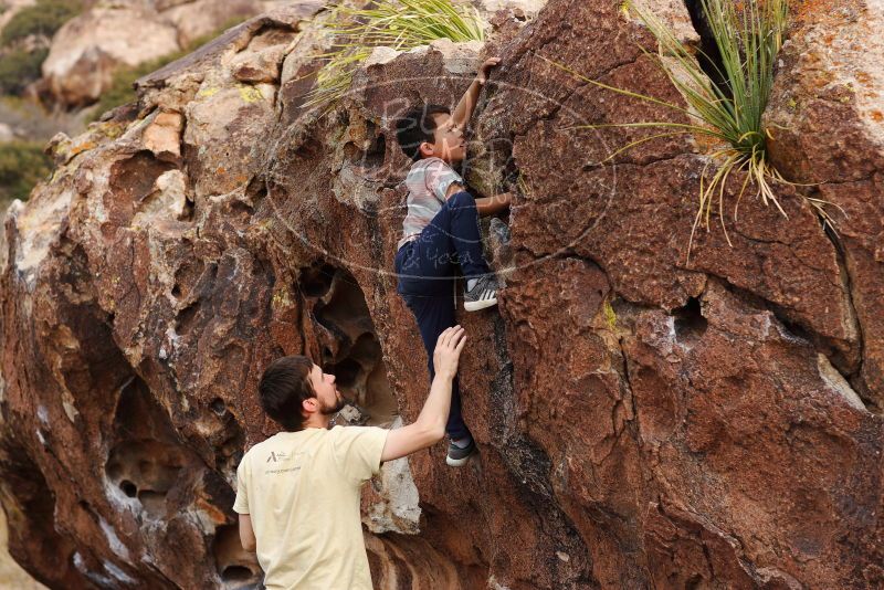 

Filename: SRM_20180314_1717470.jpg
Aperture: f/4.0
Shutter Speed: 1/800
Body: Canon EOS-1D Mark II
Lens: Canon EF 85mm f/1.2 L II