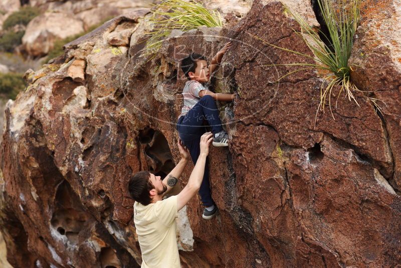 

Filename: SRM_20180314_1717520.jpg
Aperture: f/4.0
Shutter Speed: 1/800
Body: Canon EOS-1D Mark II
Lens: Canon EF 85mm f/1.2 L II