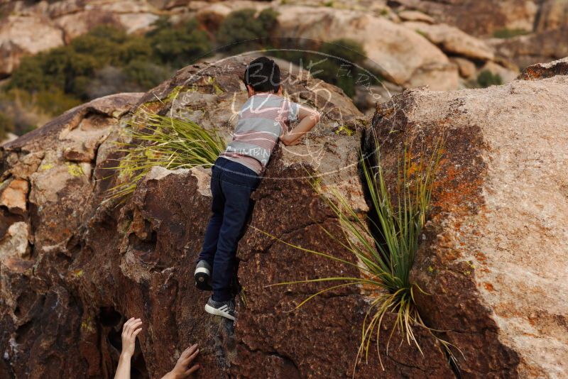 

Filename: SRM_20180314_1721300.jpg
Aperture: f/4.0
Shutter Speed: 1/1600
Body: Canon EOS-1D Mark II
Lens: Canon EF 85mm f/1.2 L II