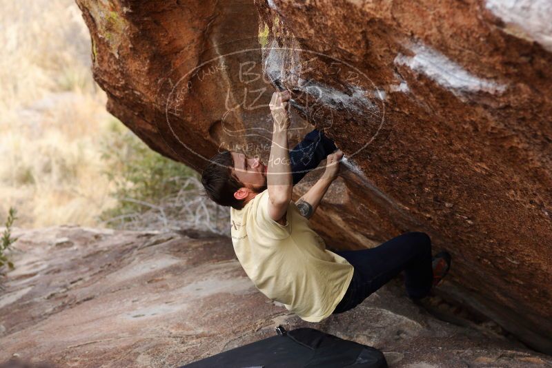 

Filename: SRM_20180314_1723090.jpg
Aperture: f/4.0
Shutter Speed: 1/500
Body: Canon EOS-1D Mark II
Lens: Canon EF 85mm f/1.2 L II