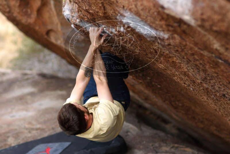 

Filename: SRM_20180314_1727220.jpg
Aperture: f/2.0
Shutter Speed: 1/320
Body: Canon EOS-1D Mark II
Lens: Canon EF 85mm f/1.2 L II