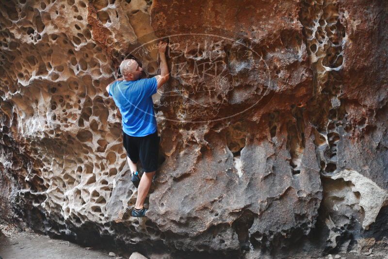 

Filename: SRM_20180314_1037120.jpg
Aperture: f/4.0
Shutter Speed: 1/160
Body: Canon EOS-1D Mark II
Lens: Canon EF 50mm f/1.8 II