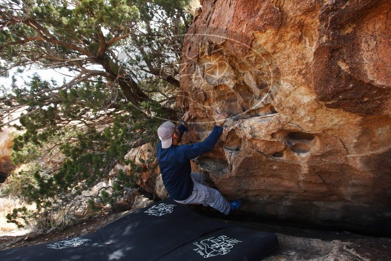 

Filename: SRM_20180314_1300541.jpg
Aperture: f/5.6
Shutter Speed: 1/250
Body: Canon EOS-1D Mark II
Lens: Canon EF 16-35mm f/2.8 L