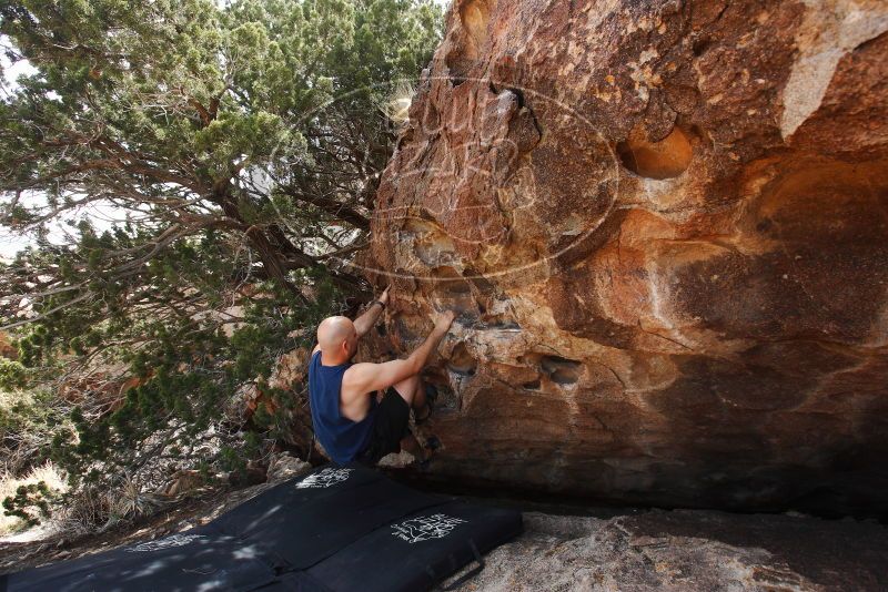 

Filename: SRM_20180314_1307110.jpg
Aperture: f/5.6
Shutter Speed: 1/320
Body: Canon EOS-1D Mark II
Lens: Canon EF 16-35mm f/2.8 L