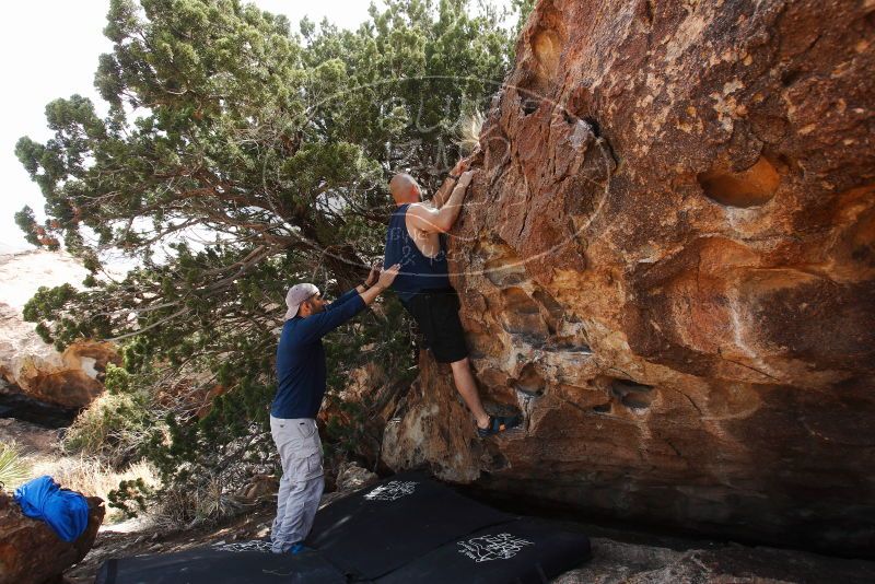 

Filename: SRM_20180314_1307250.jpg
Aperture: f/5.6
Shutter Speed: 1/400
Body: Canon EOS-1D Mark II
Lens: Canon EF 16-35mm f/2.8 L