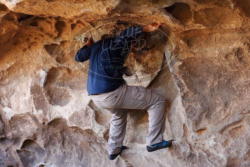 

Filename: SRM_20180314_1436180.jpg
Aperture: f/4.0
Shutter Speed: 1/320
Body: Canon EOS-1D Mark II
Lens: Canon EF 85mm f/1.2 L II