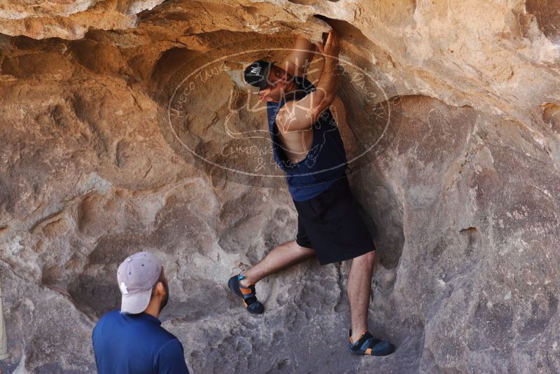 

Filename: SRM_20180314_1439400.jpg
Aperture: f/4.0
Shutter Speed: 1/400
Body: Canon EOS-1D Mark II
Lens: Canon EF 85mm f/1.2 L II