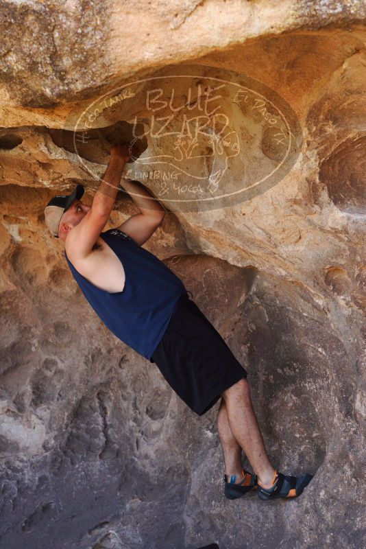 

Filename: SRM_20180314_1440080.jpg
Aperture: f/4.0
Shutter Speed: 1/500
Body: Canon EOS-1D Mark II
Lens: Canon EF 85mm f/1.2 L II