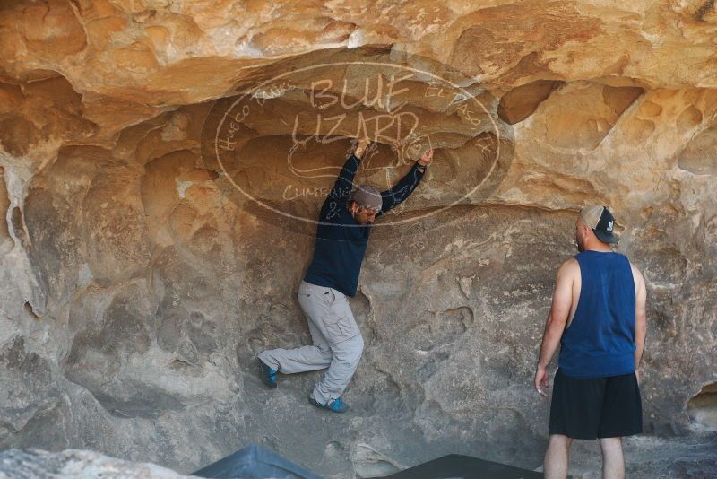 

Filename: SRM_20180314_1504400.jpg
Aperture: f/4.0
Shutter Speed: 1/500
Body: Canon EOS-1D Mark II
Lens: Canon EF 50mm f/1.8 II