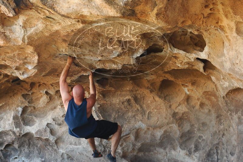 

Filename: SRM_20180314_1530091.jpg
Aperture: f/4.0
Shutter Speed: 1/320
Body: Canon EOS-1D Mark II
Lens: Canon EF 50mm f/1.8 II