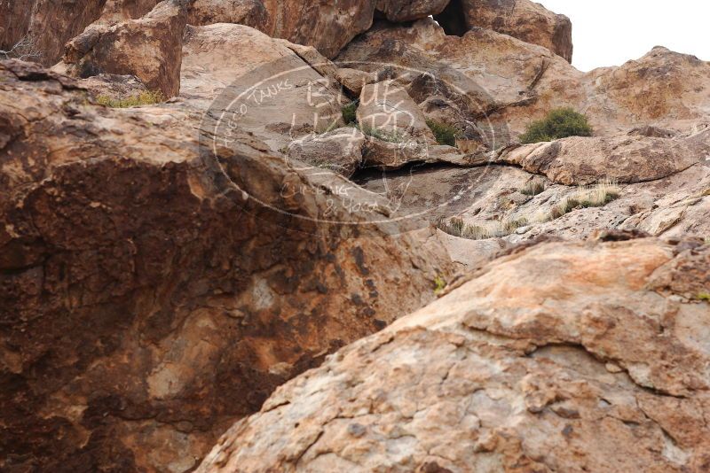 

Filename: SRM_20180314_1702330.jpg
Aperture: f/5.6
Shutter Speed: 1/250
Body: Canon EOS-1D Mark II
Lens: Canon EF 85mm f/1.2 L II