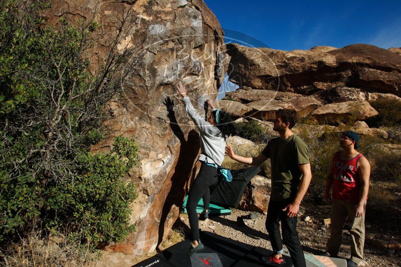 

Filename: SRM_20180313_0916500.jpg
Aperture: f/8.0
Shutter Speed: 1/250
Body: Canon EOS-1D Mark II
Lens: Canon EF 16-35mm f/2.8 L