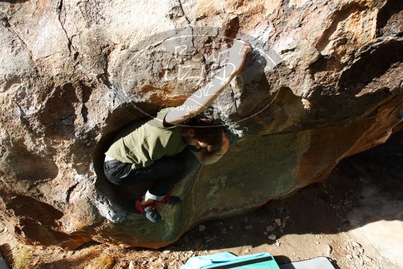 

Filename: SRM_20180313_0937290.jpg
Aperture: f/5.6
Shutter Speed: 1/250
Body: Canon EOS-1D Mark II
Lens: Canon EF 16-35mm f/2.8 L