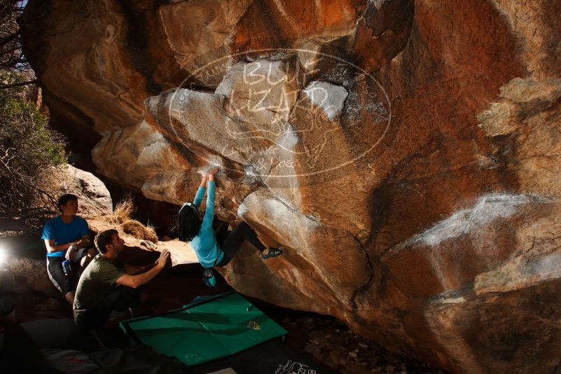 

Filename: SRM_20180313_1447230.jpg
Aperture: f/8.0
Shutter Speed: 1/250
Body: Canon EOS-1D Mark II
Lens: Canon EF 16-35mm f/2.8 L