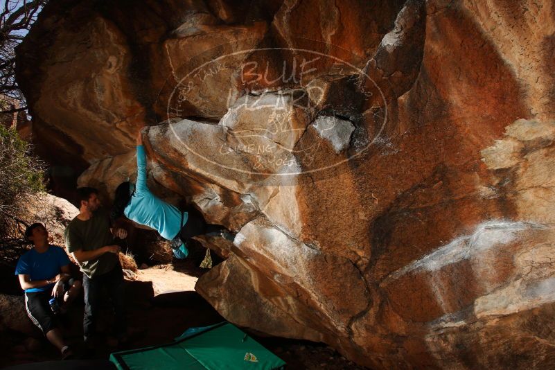 

Filename: SRM_20180313_1447480.jpg
Aperture: f/8.0
Shutter Speed: 1/250
Body: Canon EOS-1D Mark II
Lens: Canon EF 16-35mm f/2.8 L