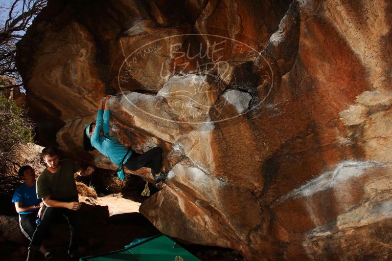 

Filename: SRM_20180313_1448020.jpg
Aperture: f/8.0
Shutter Speed: 1/250
Body: Canon EOS-1D Mark II
Lens: Canon EF 16-35mm f/2.8 L