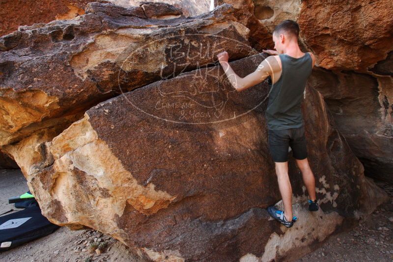 

Filename: SRM_20180313_0913150.jpg
Aperture: f/5.6
Shutter Speed: 1/250
Body: Canon EOS-1D Mark II
Lens: Canon EF 16-35mm f/2.8 L