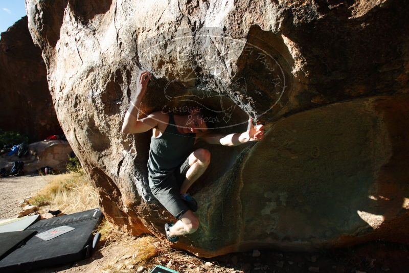 

Filename: SRM_20180313_0923060.jpg
Aperture: f/5.0
Shutter Speed: 1/250
Body: Canon EOS-1D Mark II
Lens: Canon EF 16-35mm f/2.8 L