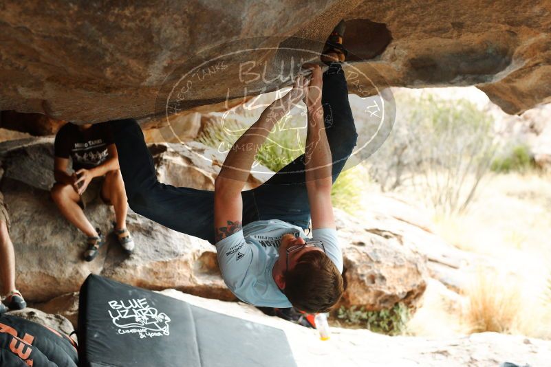 

Filename: SRM_20180317_1010040.jpg
Aperture: f/4.0
Shutter Speed: 1/500
Body: Canon EOS-1D Mark II
Lens: Canon EF 50mm f/1.8 II