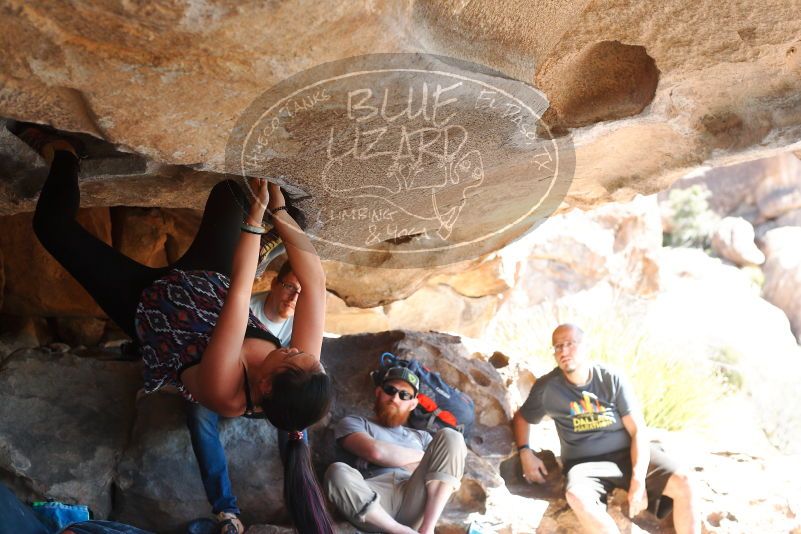 

Filename: SRM_20180317_1141110.jpg
Aperture: f/4.0
Shutter Speed: 1/320
Body: Canon EOS-1D Mark II
Lens: Canon EF 50mm f/1.8 II