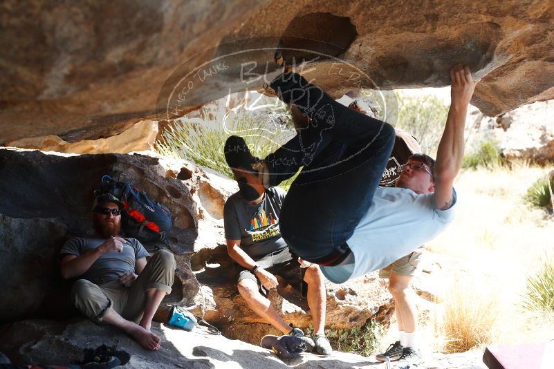 

Filename: SRM_20180317_1142090.jpg
Aperture: f/4.0
Shutter Speed: 1/640
Body: Canon EOS-1D Mark II
Lens: Canon EF 50mm f/1.8 II