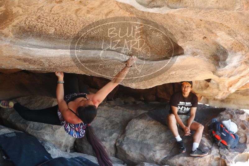 

Filename: SRM_20180317_1200590.jpg
Aperture: f/5.0
Shutter Speed: 1/250
Body: Canon EOS-1D Mark II
Lens: Canon EF 50mm f/1.8 II