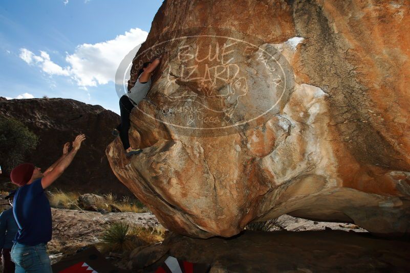 

Filename: SRM_20180317_1613150.jpg
Aperture: f/8.0
Shutter Speed: 1/250
Body: Canon EOS-1D Mark II
Lens: Canon EF 16-35mm f/2.8 L