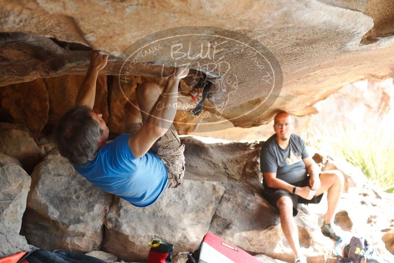 

Filename: SRM_20180317_1055260.jpg
Aperture: f/4.0
Shutter Speed: 1/250
Body: Canon EOS-1D Mark II
Lens: Canon EF 50mm f/1.8 II