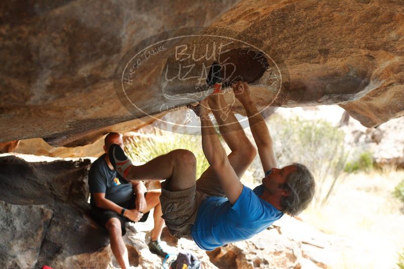 

Filename: SRM_20180317_1055400.jpg
Aperture: f/4.0
Shutter Speed: 1/800
Body: Canon EOS-1D Mark II
Lens: Canon EF 50mm f/1.8 II