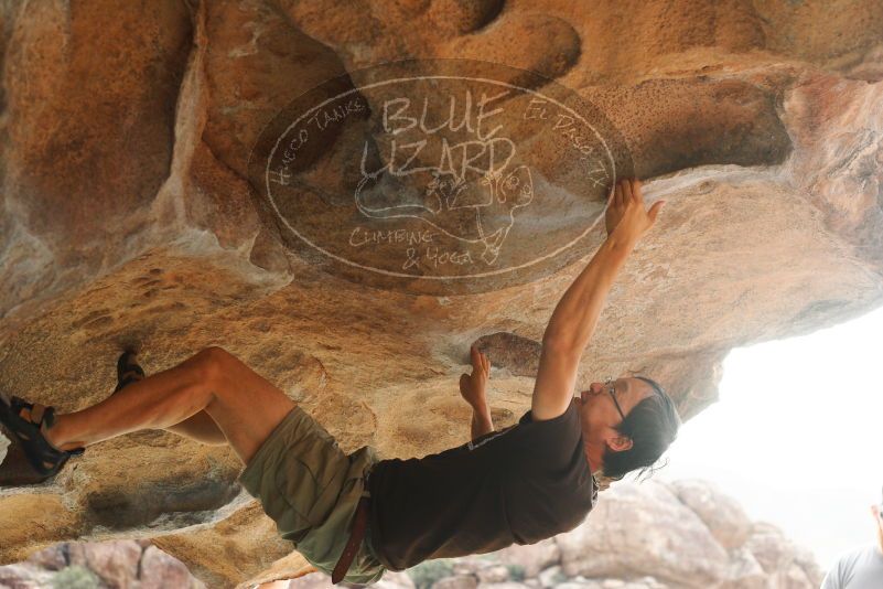 

Filename: SRM_20180317_0948240.jpg
Aperture: f/4.0
Shutter Speed: 1/640
Body: Canon EOS-1D Mark II
Lens: Canon EF 50mm f/1.8 II