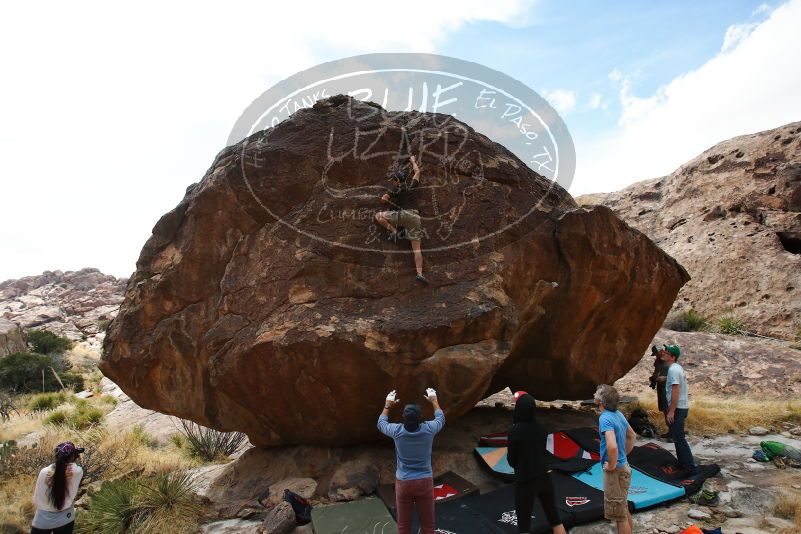 

Filename: SRM_20180317_1531240.jpg
Aperture: f/4.0
Shutter Speed: 1/800
Body: Canon EOS-1D Mark II
Lens: Canon EF 16-35mm f/2.8 L