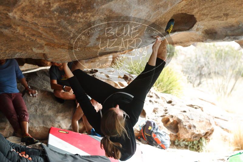 

Filename: SRM_20180317_1037100.jpg
Aperture: f/4.0
Shutter Speed: 1/640
Body: Canon EOS-1D Mark II
Lens: Canon EF 50mm f/1.8 II