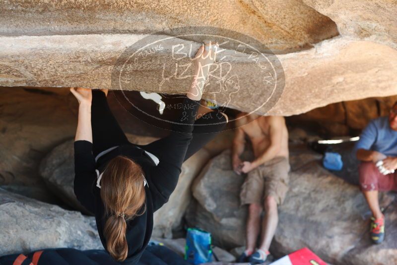 

Filename: SRM_20180317_1120090.jpg
Aperture: f/3.2
Shutter Speed: 1/250
Body: Canon EOS-1D Mark II
Lens: Canon EF 50mm f/1.8 II