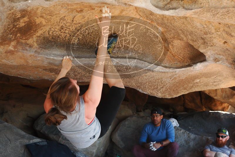 

Filename: SRM_20180317_1151220.jpg
Aperture: f/5.6
Shutter Speed: 1/250
Body: Canon EOS-1D Mark II
Lens: Canon EF 50mm f/1.8 II