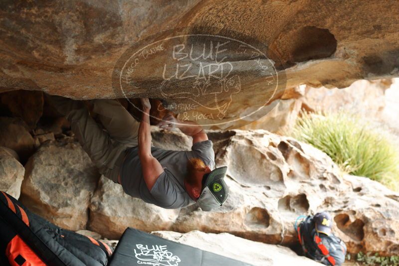 

Filename: SRM_20180317_0945330.jpg
Aperture: f/4.0
Shutter Speed: 1/640
Body: Canon EOS-1D Mark II
Lens: Canon EF 50mm f/1.8 II