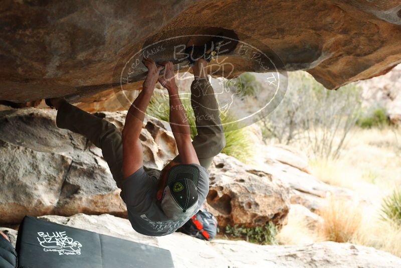 

Filename: SRM_20180317_0945400.jpg
Aperture: f/4.0
Shutter Speed: 1/800
Body: Canon EOS-1D Mark II
Lens: Canon EF 50mm f/1.8 II